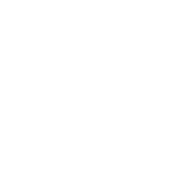 Main Logo